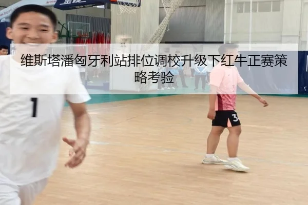 维斯塔潘匈牙利站排位调校升级下红牛正赛策略考验